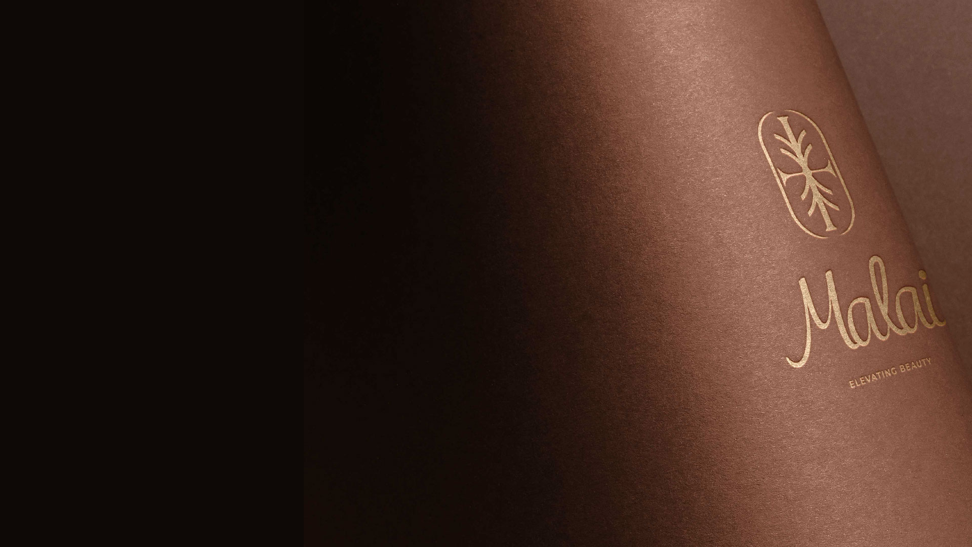 Hero Section Banner-03